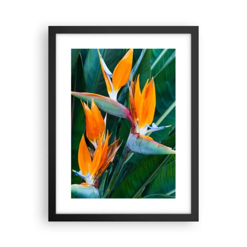 Poster in einem schwarzem Rahmen - Ist es eine Blume oder ist es ein Vogel? - 30x40 cm