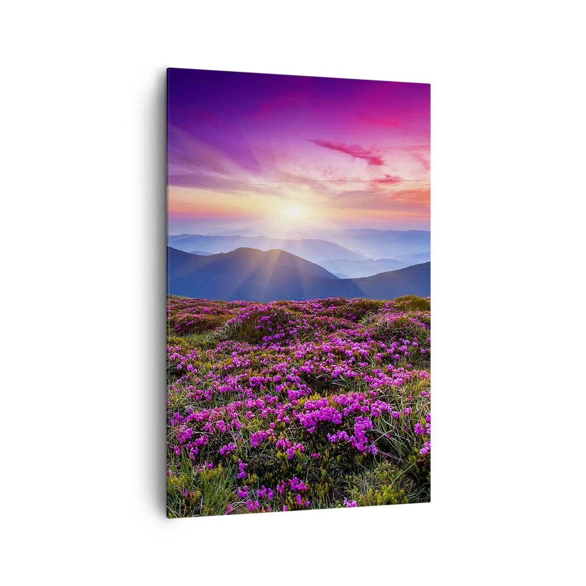 Bild auf Leinwand - Leinwandbild - Bergwiese mit Blumen bei Sonnenuntergang - 80x120cm - Kräuter dufteten nach frischen Trauben von den Feldern - Moderne Wanddekoration für Wohnzimmer und Schlafzimmer ARTTOR