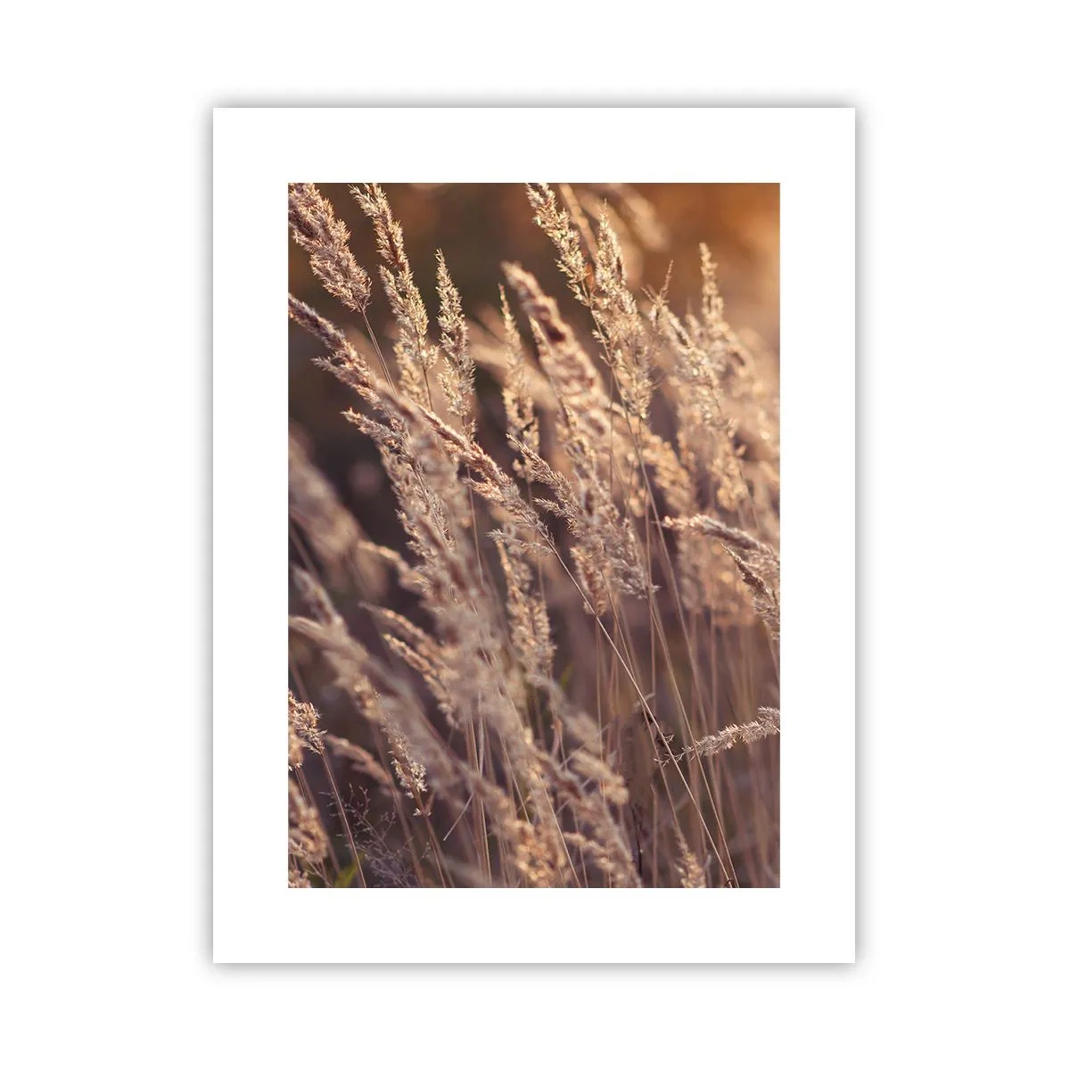 Poster - Bereit, den Herbst willkommen zu heißen - 30x40 cm