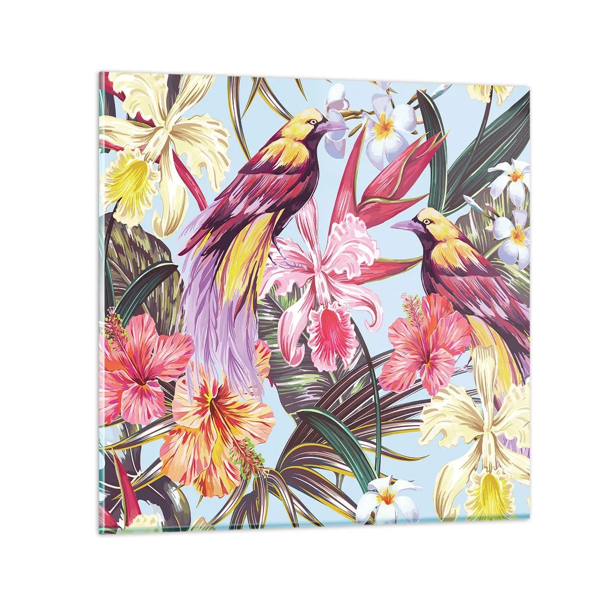 Glasbild - Bild auf glas - Blütenblätter und Federn - 40x40 cm