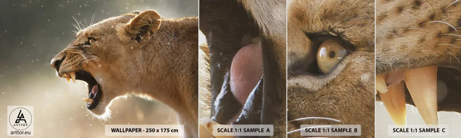 Fototapeten Muster Premium Canvas - Versuch, nicht zuzuhören - Tiere, Löwe, Afrika - 100x30 cm