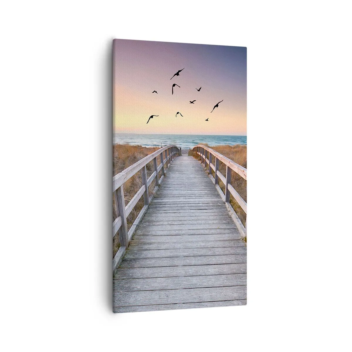 Bild auf Leinwand - Leinwandbild - Der Raum für Auffliegen - 55x100 cm