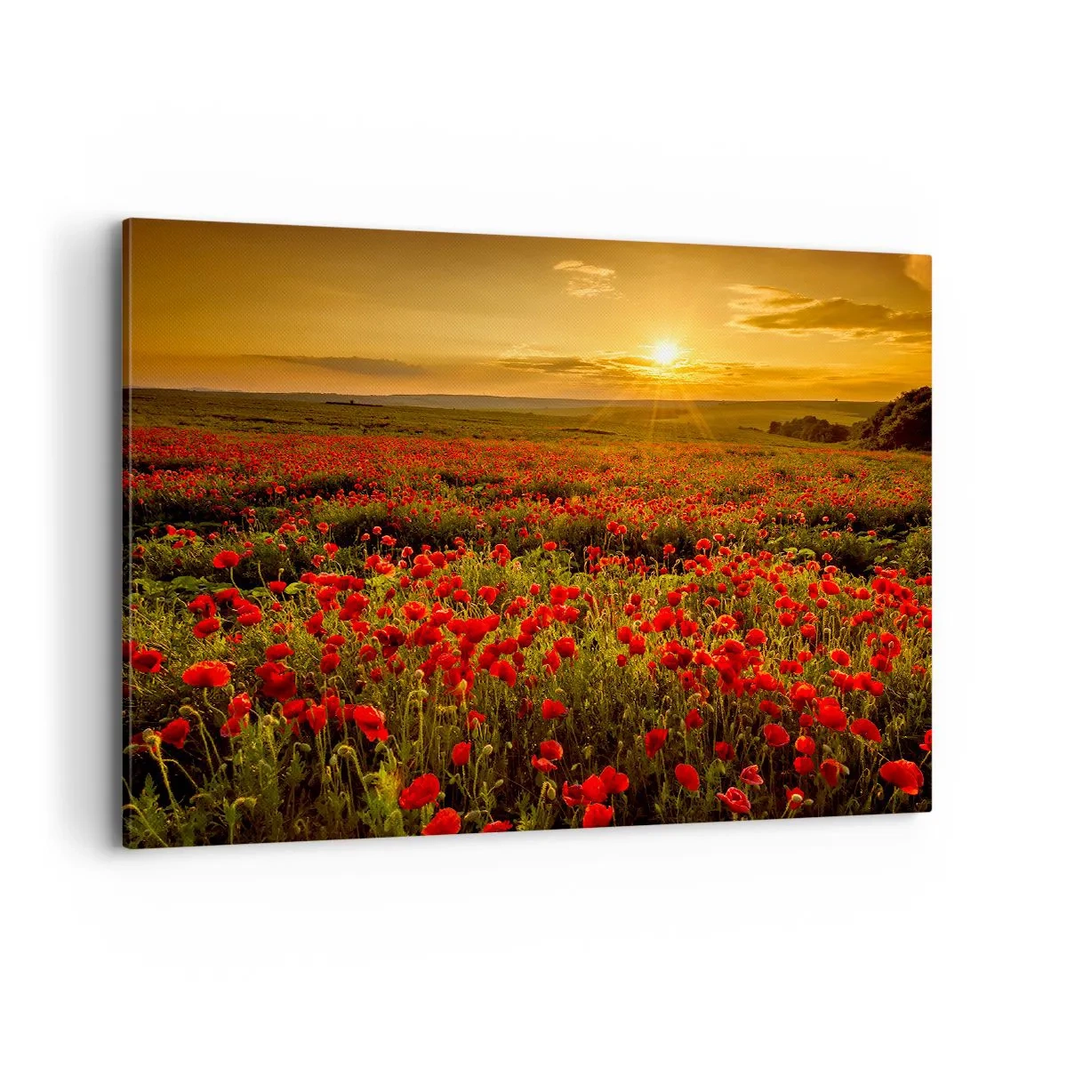 Bild auf Leinwand - Leinwandbild - Ein Feld mit roten Mohnblumen im Schein der untergehenden Sonne - 100x70cm - Unter den Wellen raschelnder Wiesen, unter den Blumen der Flut - Moderne Wanddekoration für Wohnzimmer und Schlafzimmer ARTTOR