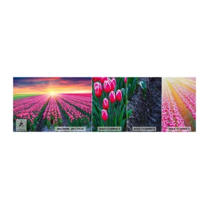 Fototapeten Muster Premium Sand - Schönheitsfarm - Blumen, Tulpen, Sonnenuntergang - 100x30 cm