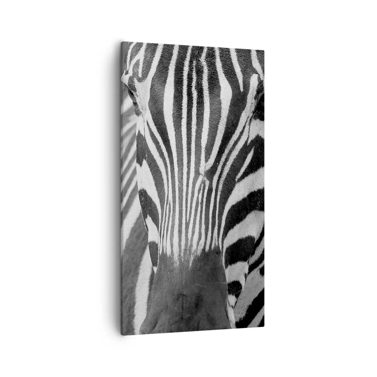 Bild auf Leinwand - Leinwandbild - Die Welt ist schwarz und weiß - 55x100 cm