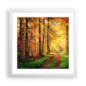 Poster in einem weißen Rahmen - Waldgoldene Stille - 40x40 cm