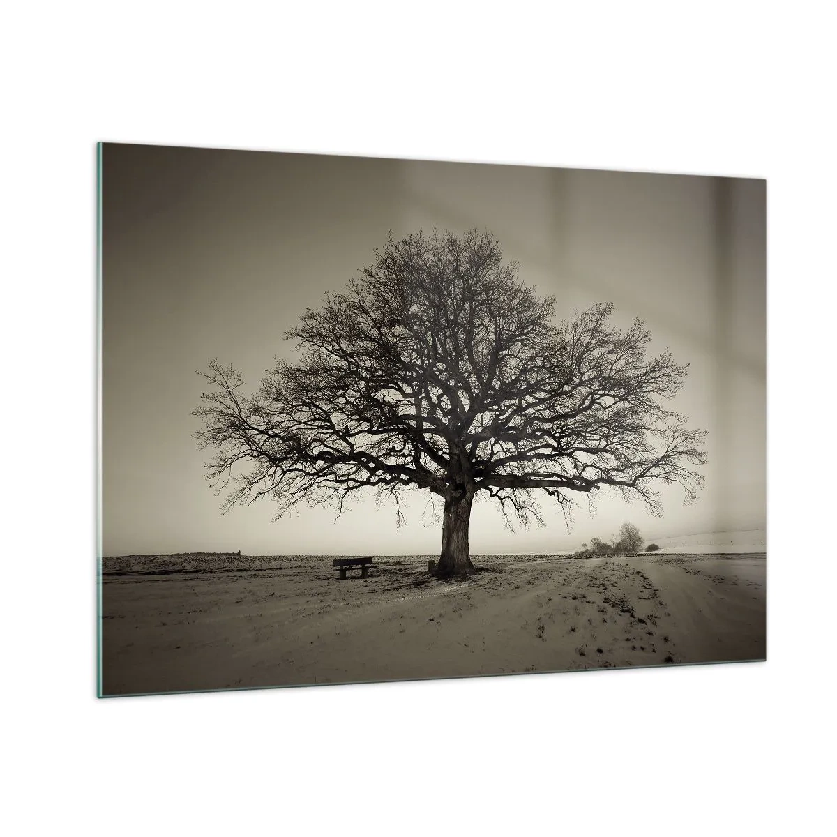 Glasbild - Bild auf glas - Ein einsamer Baum in einer monochromen Landschaft - 100x70cm - Von hier zu Ewigkeit - Moderne Wanddekoration für Wohnzimmer und Schlafzimmer ARTTOR