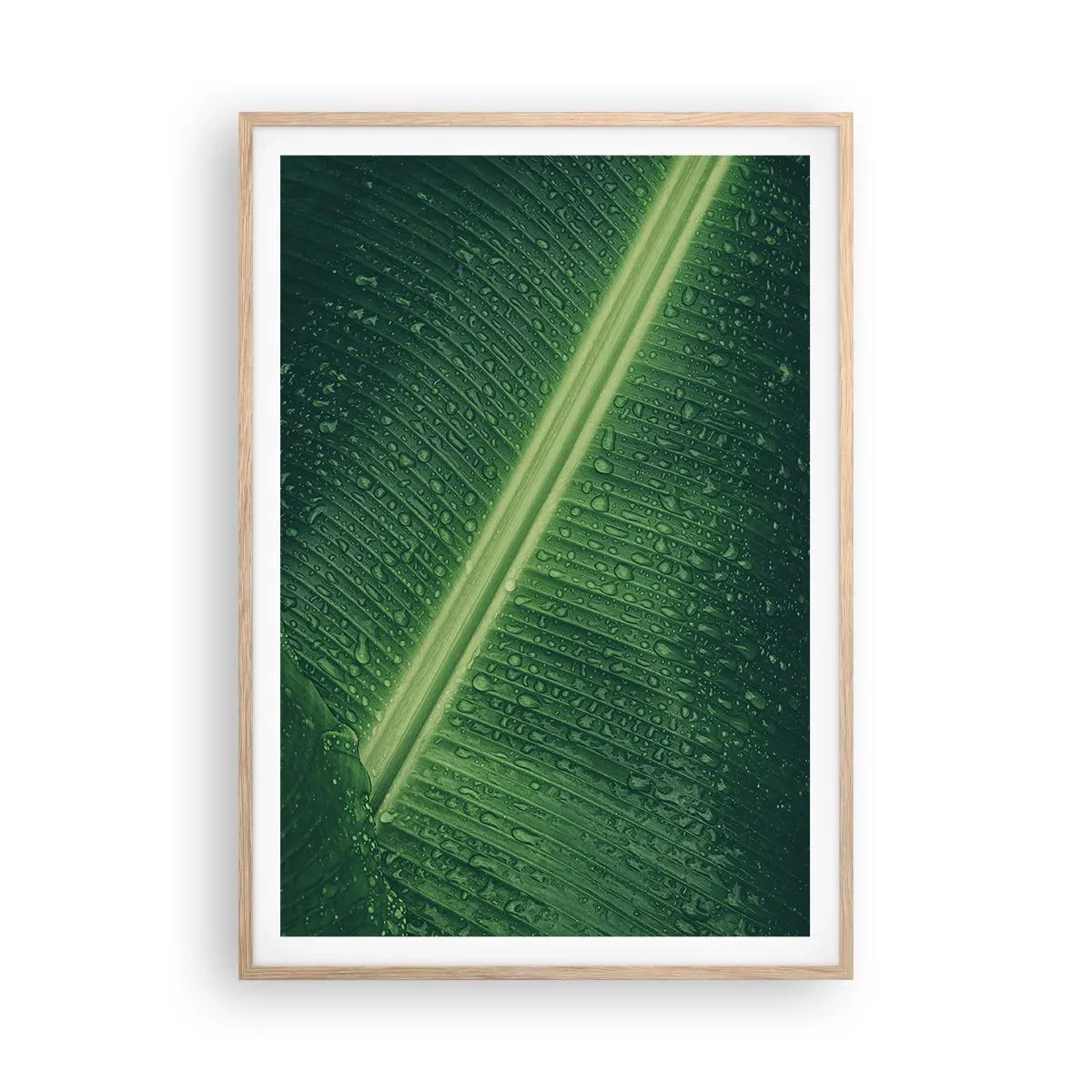Poster in einem Rahmen aus heller Eiche - Die Struktur des Grüns - 70x100 cm