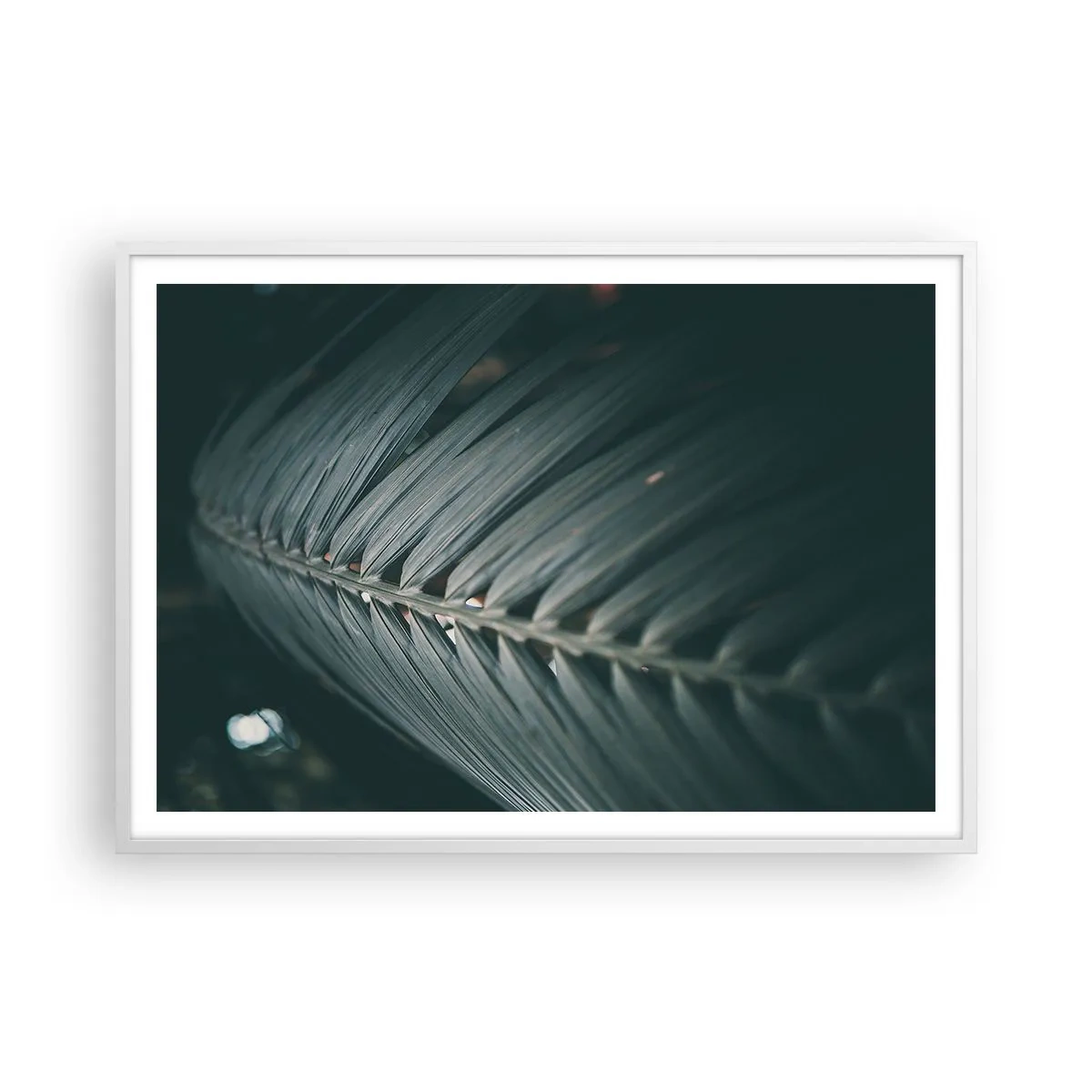 Poster in einem weißen Rahmen - Die Präzision der Natur - 100x70 cm