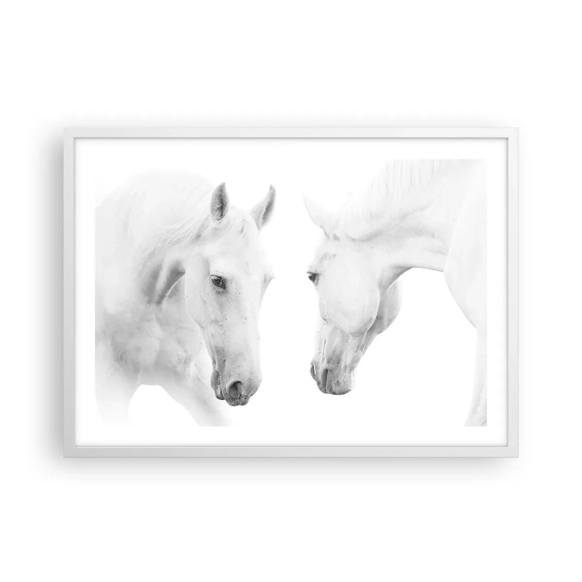 Poster in einem weißen Rahmen - Ist das Freundschaft...? - 70x50 cm