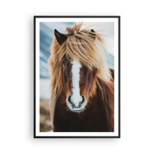 Poster in einem schwarzem Rahmen - Spürst du die Freiheit? - 70x100 cm