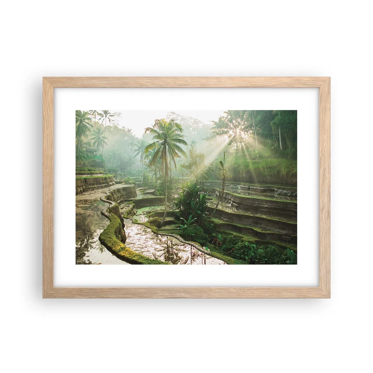 Poster in einem Rahmen aus heller Eiche - In der Sonne aufwachsen - 40x30 cm