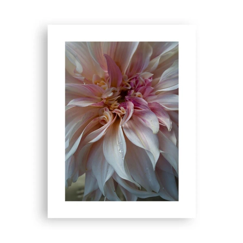 Poster - Blühende Frische - 30x40 cm