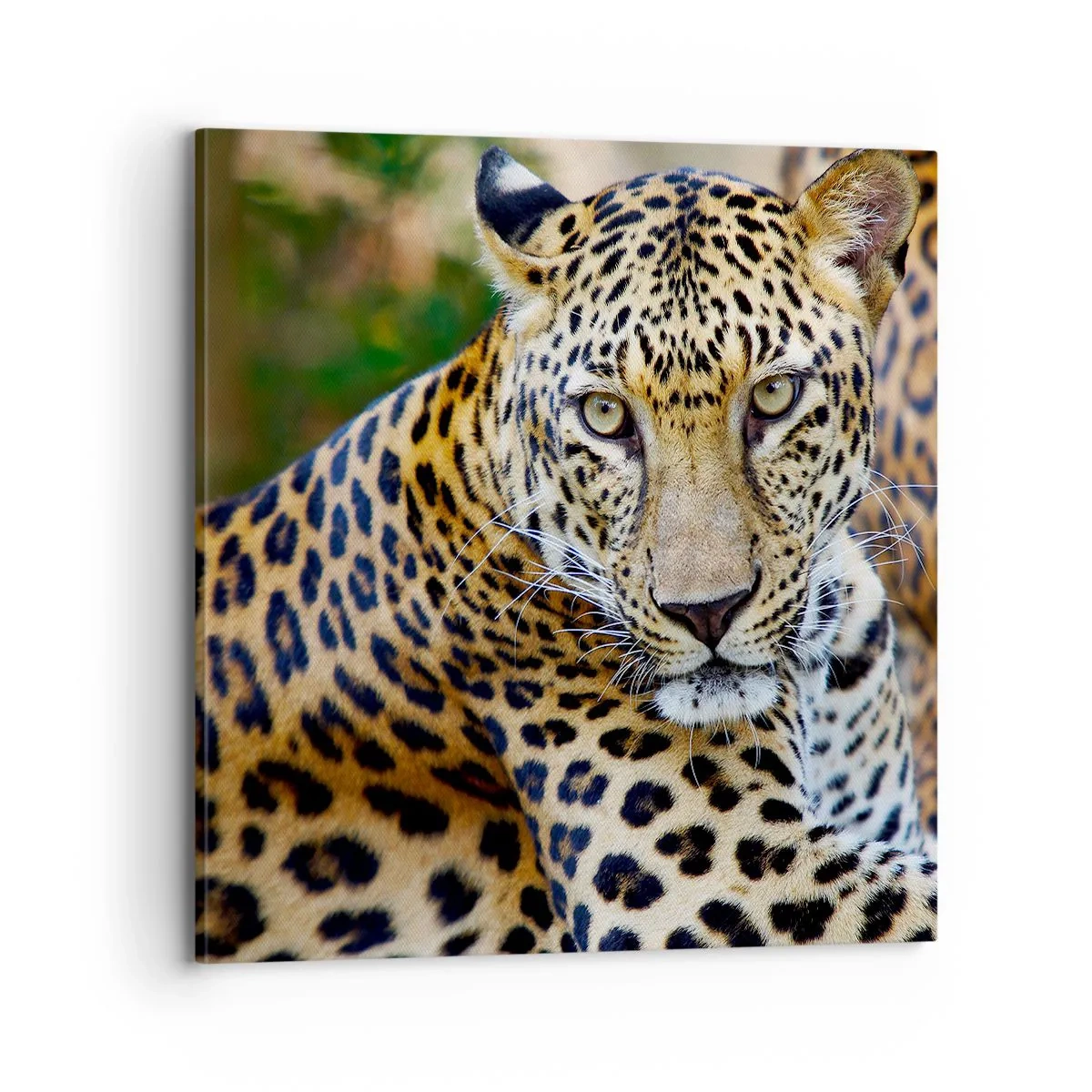 Bild auf Leinwand - Leinwandbild - Wild und ruhig - 70x70 cm