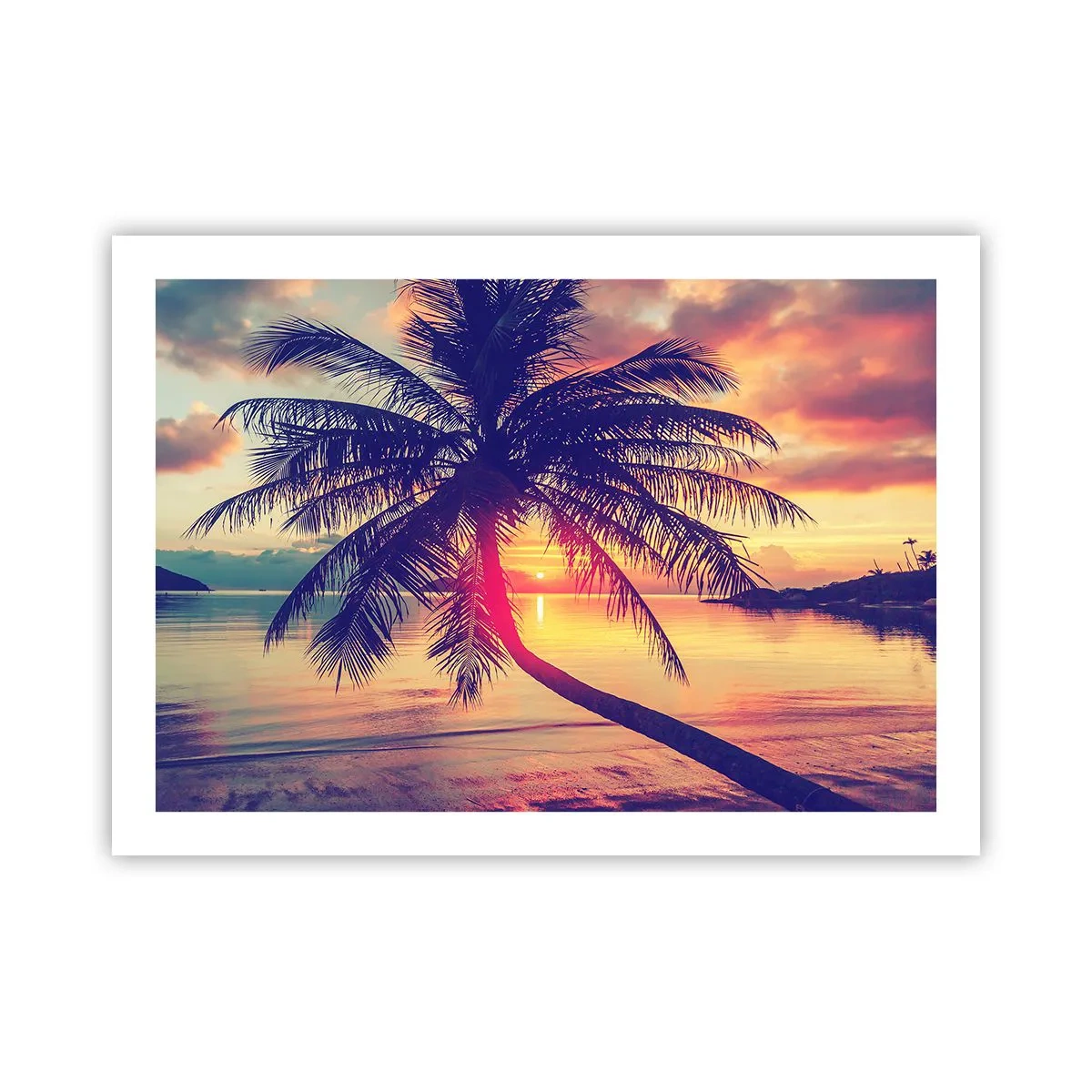Poster - Abend unter Palmen - 70x50 cm