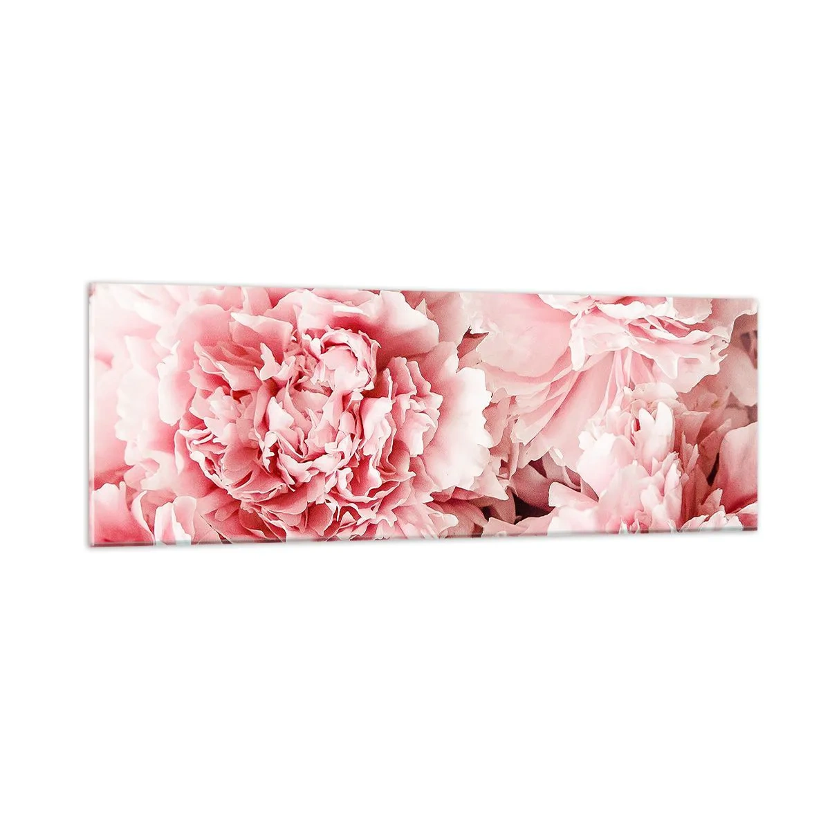 Glasbild - Bild auf glas - Rosa Traum - 90x30 cm