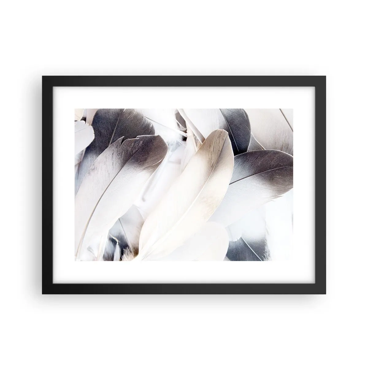 Poster in einem schwarzem Rahmen - Fast engelhaft - 40x30 cm