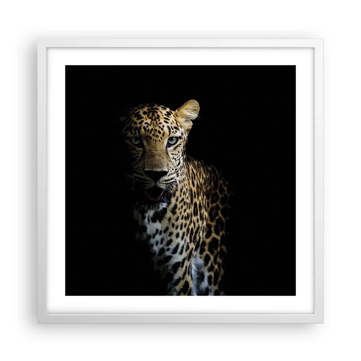 Poster in einem weißen Rahmen - Dunkle Schönheit - 50x50 cm