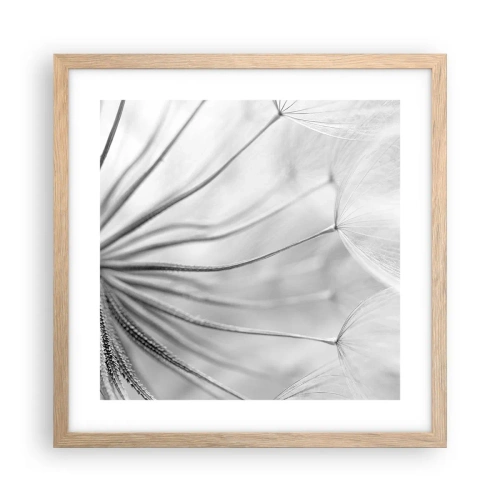 Poster in einem Rahmen aus heller Eiche - Löwenzahn, Drachen - 40x40 cm
