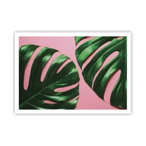 Poster - Grüne Monstera-Blätter auf rosa Hintergrund - 100x70cm - Rendezvous im Grünen - Moderne Wanddekoration für Wohnzimmer und Schlafzimmer ARTTOR