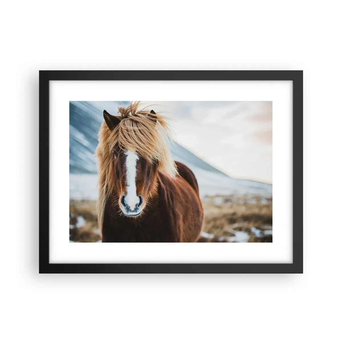 Poster in einem schwarzem Rahmen - Spürst du die Freiheit? - 40x30 cm