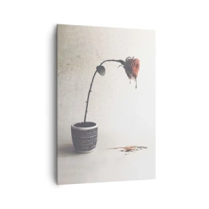 Bild auf Leinwand - Leinwandbild - Eine rote Rose in einem Topf mit Farbtropfen auf weißem Hintergrund - 70x100cm - Rosa dolorosa - Moderne Wanddekoration für Wohnzimmer und Schlafzimmer ARTTOR