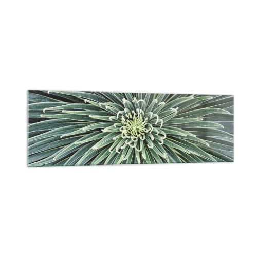 Glasbild - Bild auf glas - Symmetrische Anordnung grüner Blätter, die einem Stern ähneln - 160x50cm - Ein Star ist geboren - Moderne Wanddekoration für Wohnzimmer und Schlafzimmer ARTTOR