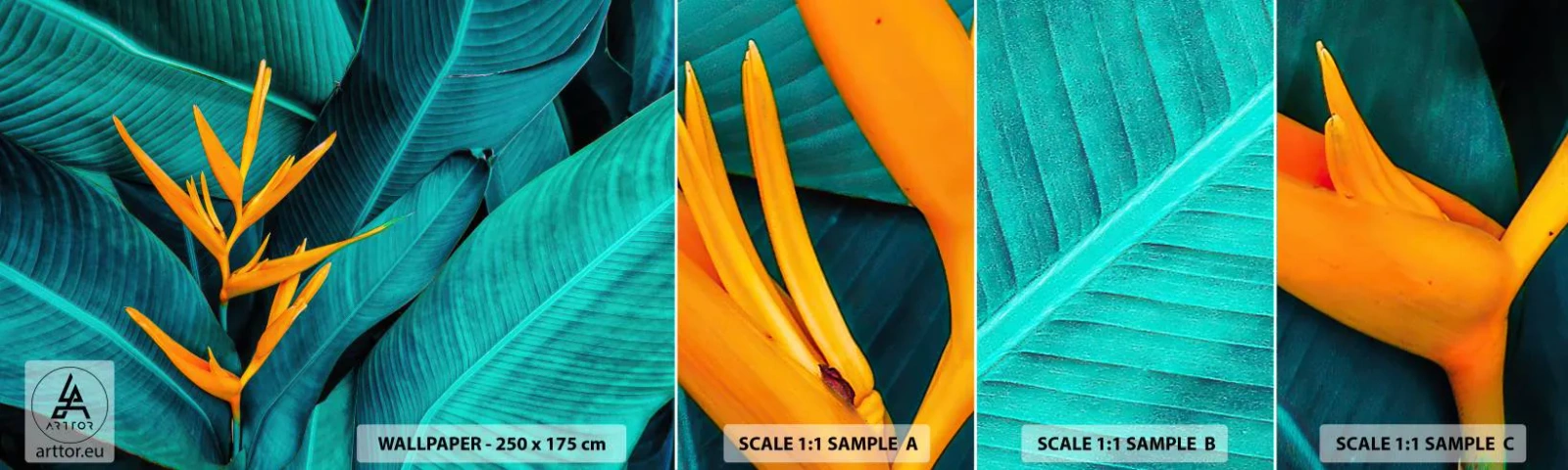 Fototapetenmuster Standard Eco - Eden-Blume - Strelitzia Royal, Blume, Afrika - 100x30 cm