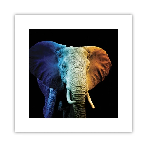 Poster - Exzentrisch, kein Verrückter - 30x30 cm