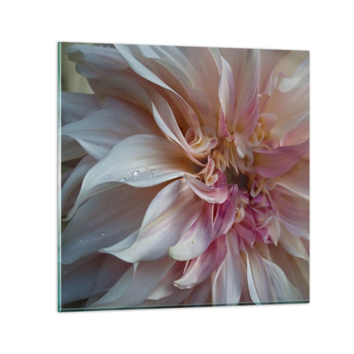 Glasbild - Bild auf glas - Blühende Frische - 30x30 cm