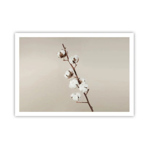 Poster - Ein Zweig Baumwolle auf beigem Hintergrund - 100x70cm - An der Quelle der Weichheit - Moderne Wanddekoration für Wohnzimmer und Schlafzimmer ARTTOR