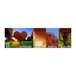 Fototapeten Muster Premium Sand - Und wie man den Herbst nicht liebt - Landschaft, Baum, Sonnenstrahlen - 100x30 cm