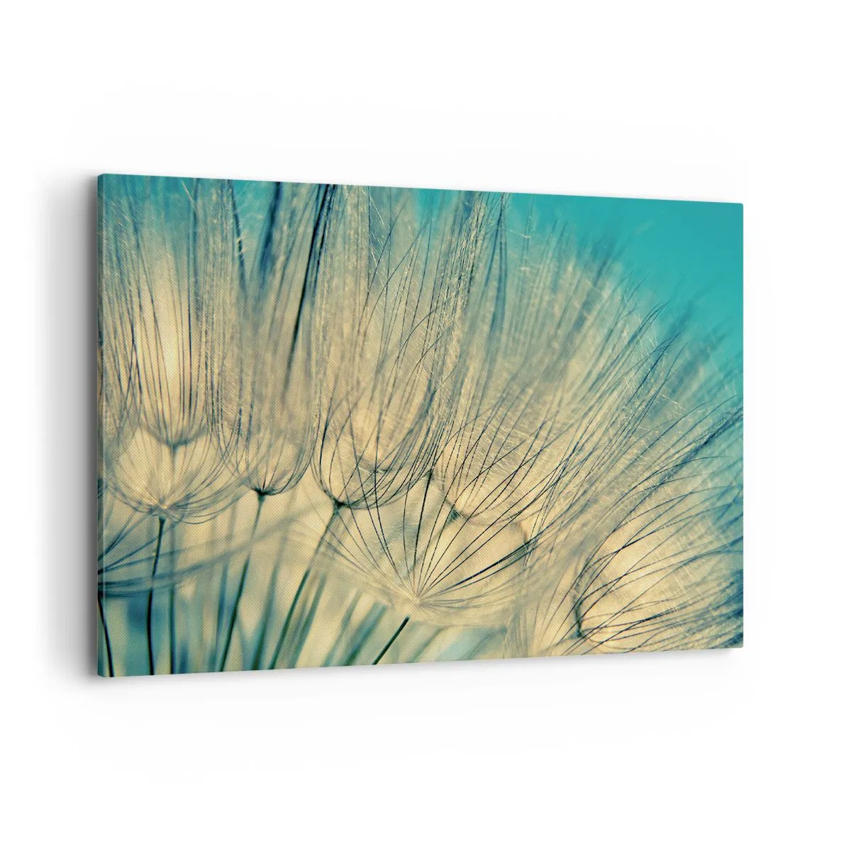 Bild auf Leinwand - Leinwandbild - Makrofotografie von Löwenzahn bei Tageslicht - 120x80cm - In Erwartung des Windes - Moderne Wanddekoration für Wohnzimmer und Schlafzimmer ARTTOR