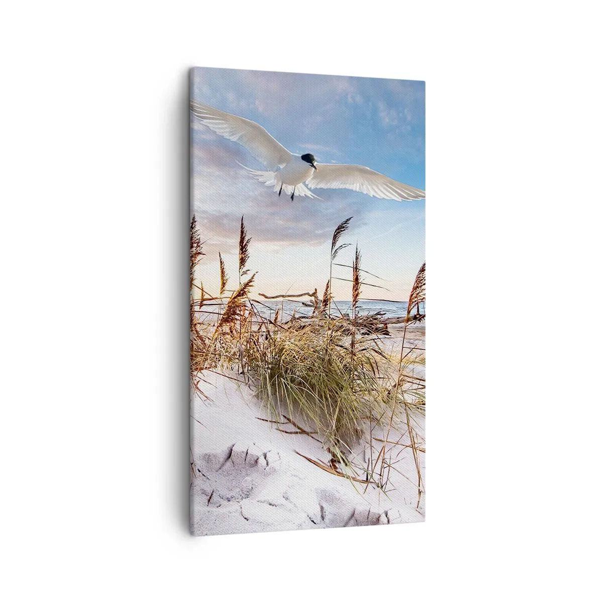 Bild auf Leinwand - Leinwandbild - Wind vom Meer - 45x80 cm