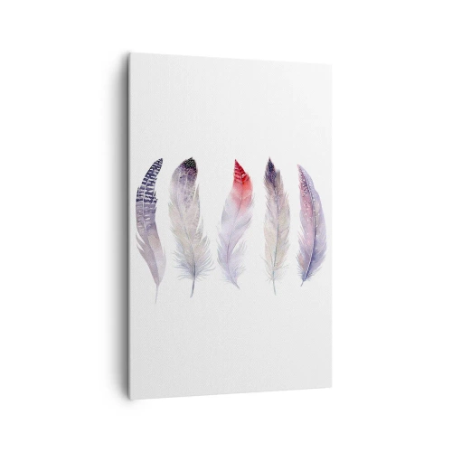 Bild auf Leinwand - Leinwandbild - Fünf zarte Federn in Pastelltönen auf hellem Untergrund - 80x120cm - Zart wie mehrfarbiger Nebel - Moderne Wanddekoration für Wohnzimmer und Schlafzimmer ARTTOR