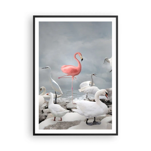 Poster in einem schwarzem Rahmen - Wie kam ich hier hin? - 70x100 cm