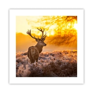 Poster - König des Herbstwaldes - 40x40 cm