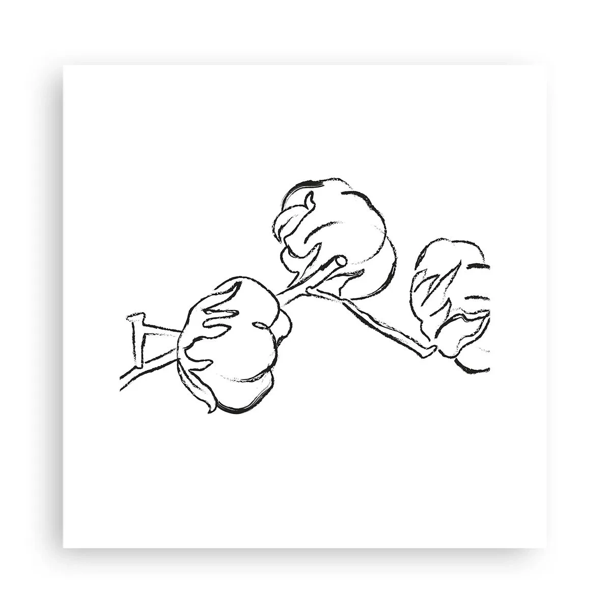 Poster - Baumwolldaunen - 30x30 cm