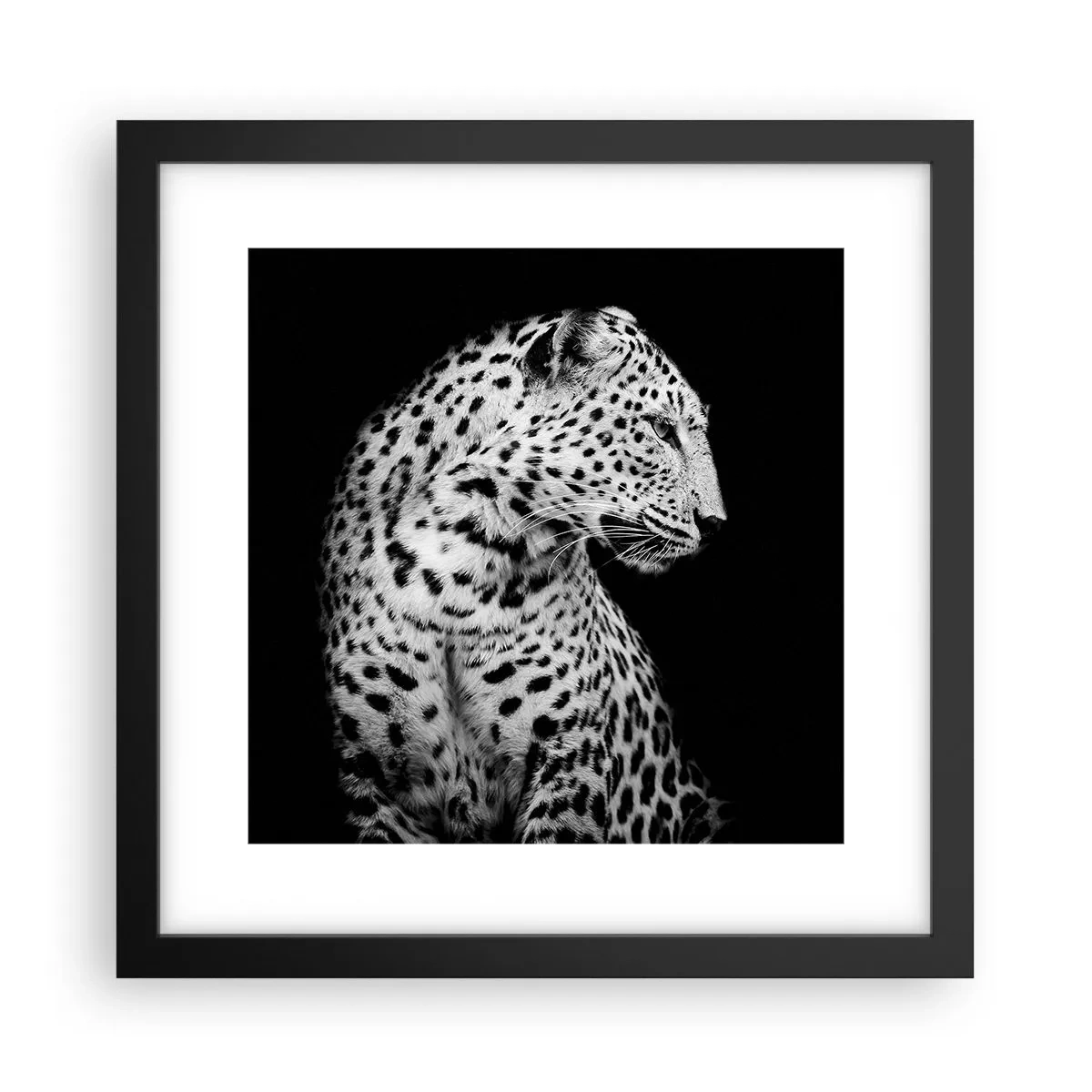 Poster in einem schwarzem Rahmen - Rechtes Profil perfekt! - 30x30 cm