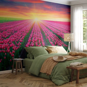 Fototapete Standard Eco - Schönheitsfarm - Blumen, Tulpen, Sonnenuntergang - 400x280 cm