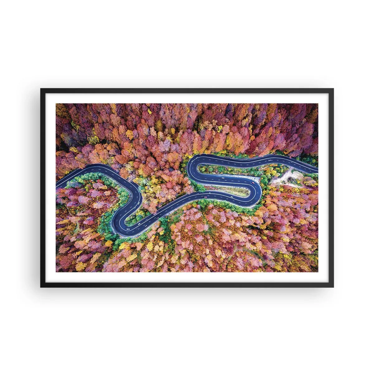 Poster in einem schwarzem Rahmen - Kurvenreicher Weg durch den Wald - 91x61 cm