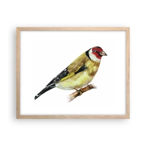 Poster in einem Rahmen aus heller Eiche - Vogelporträt - 50x40 cm