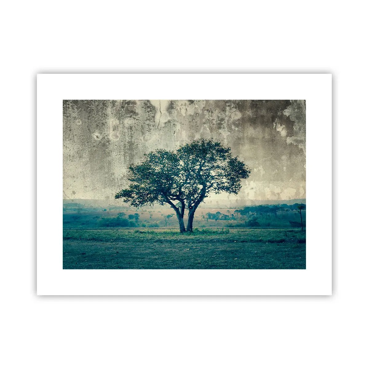Poster - Ein Apfelbaum auf blauem Feld? - 40x30 cm