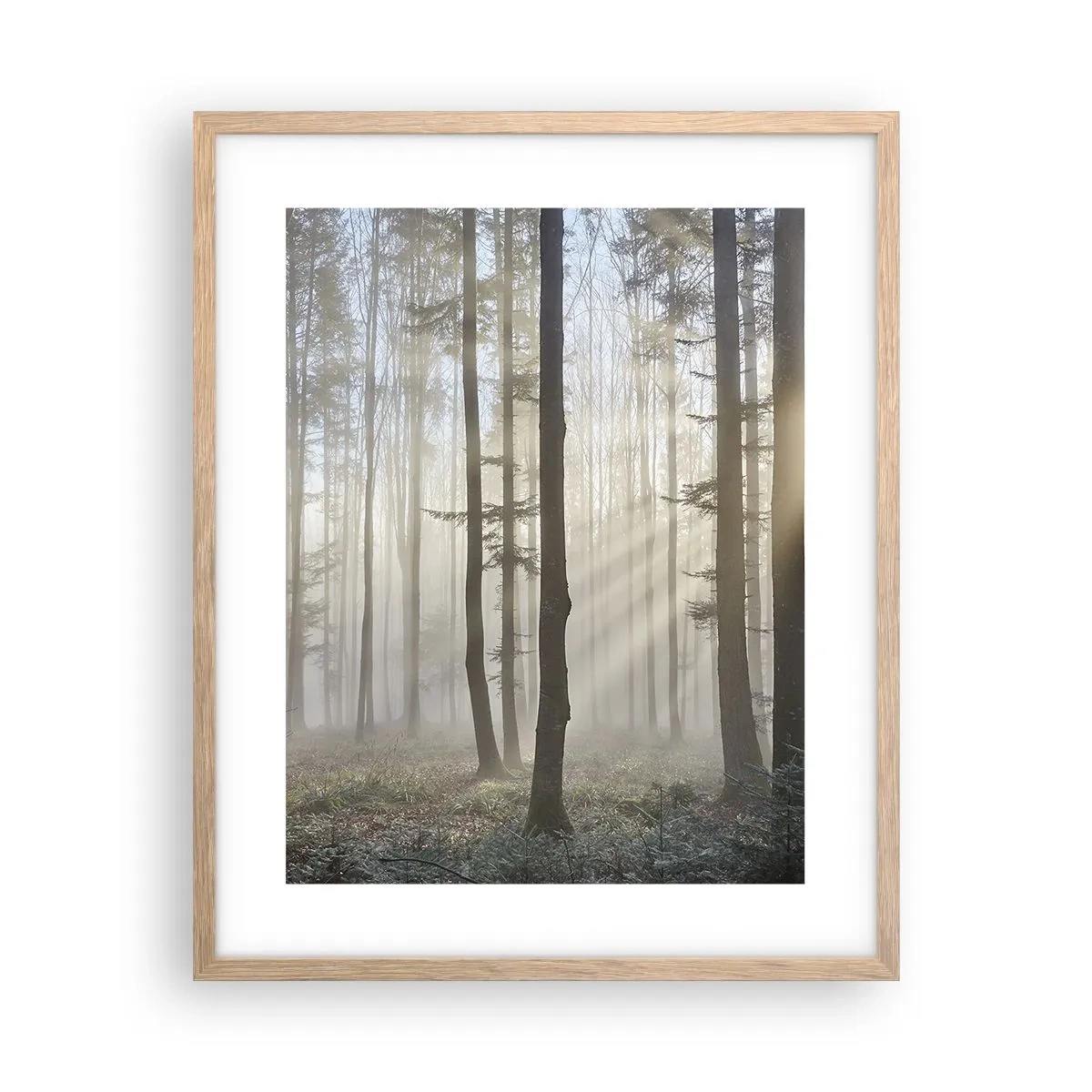 Poster in einem Rahmen aus heller Eiche - Der Nebel ist auch aufgewacht - 40x50 cm