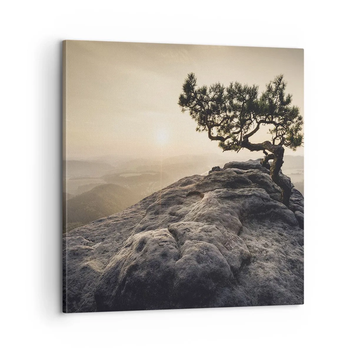 Bild auf Leinwand - Leinwandbild - Das Leben gewinnt immer - 60x60 cm