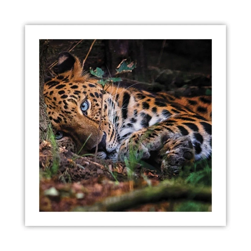 Poster - Vertrau mir - 50x50 cm