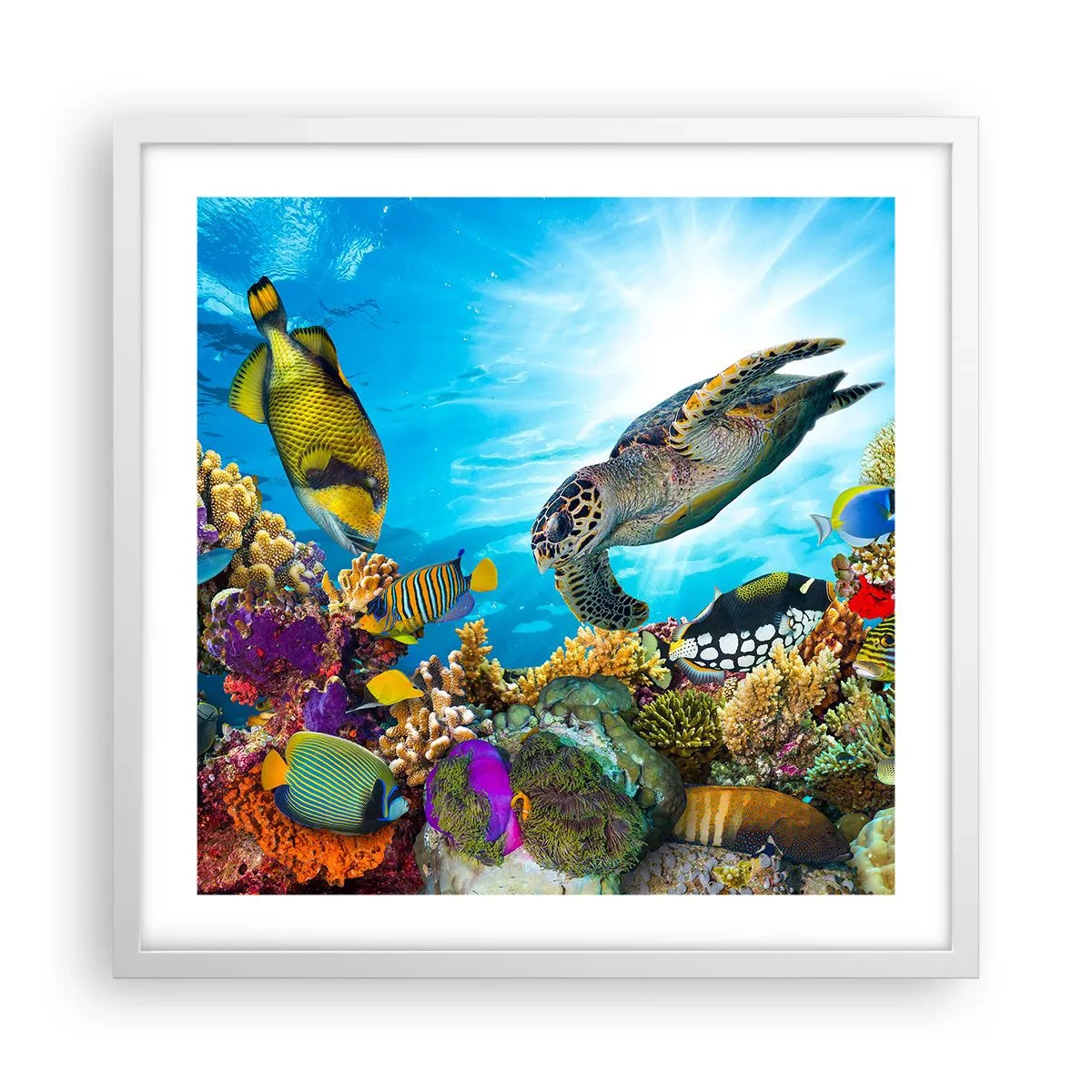 Poster in einem weißen Rahmen - Korallenpromenade - 50x50 cm