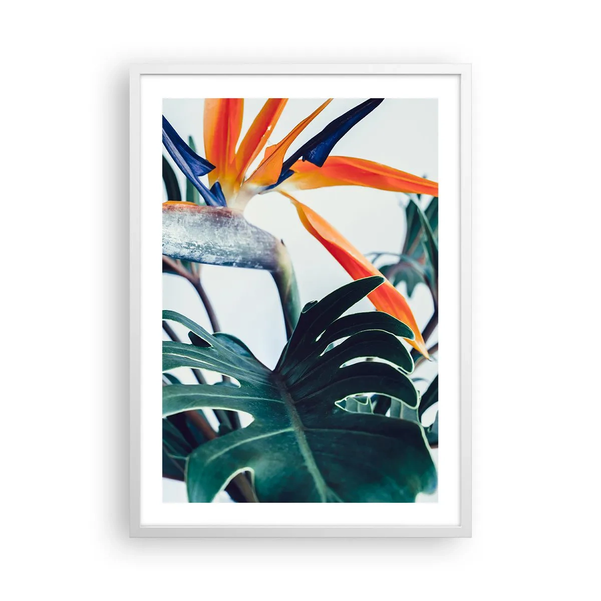 Poster in einem weißen Rahmen - Vogelbusch - 50x70 cm