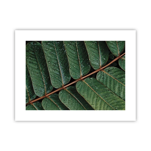 Poster - Im grünen Rhythmus - 40x30 cm