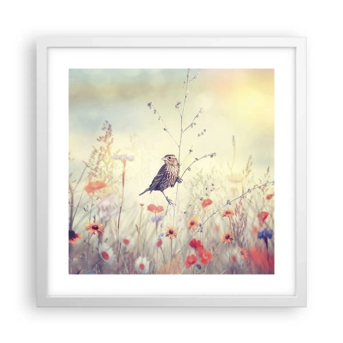 Poster in einem weißen Rahmen - Vogelporträt mit einer Wiese im Hintergrund - 40x40 cm